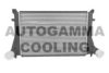 AUTOGAMMA 107487 Intercooler, charger